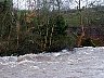 P1010108.JPG