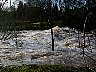P1010115.JPG
