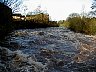 P1010118.JPG