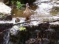 100_0146.jpg