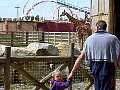 100_0177.jpg