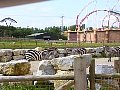 100_0178.jpg