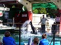 100_0194.jpg