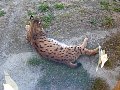 100_0195.jpg