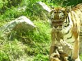 100_0197.jpg