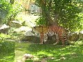 100_0198.jpg