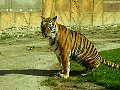 100_0199.jpg