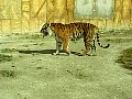 100_0200.jpg