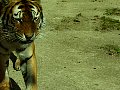 100_0201.jpg