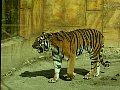 100_0204.jpg