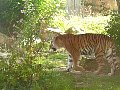 100_0205.jpg