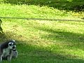 100_0217.jpg