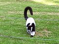 100_0218.jpg