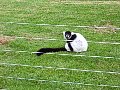 100_0219.jpg