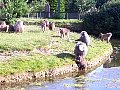 100_0221.jpg