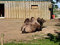 100_0223.jpg