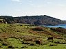 P1010099.JPG